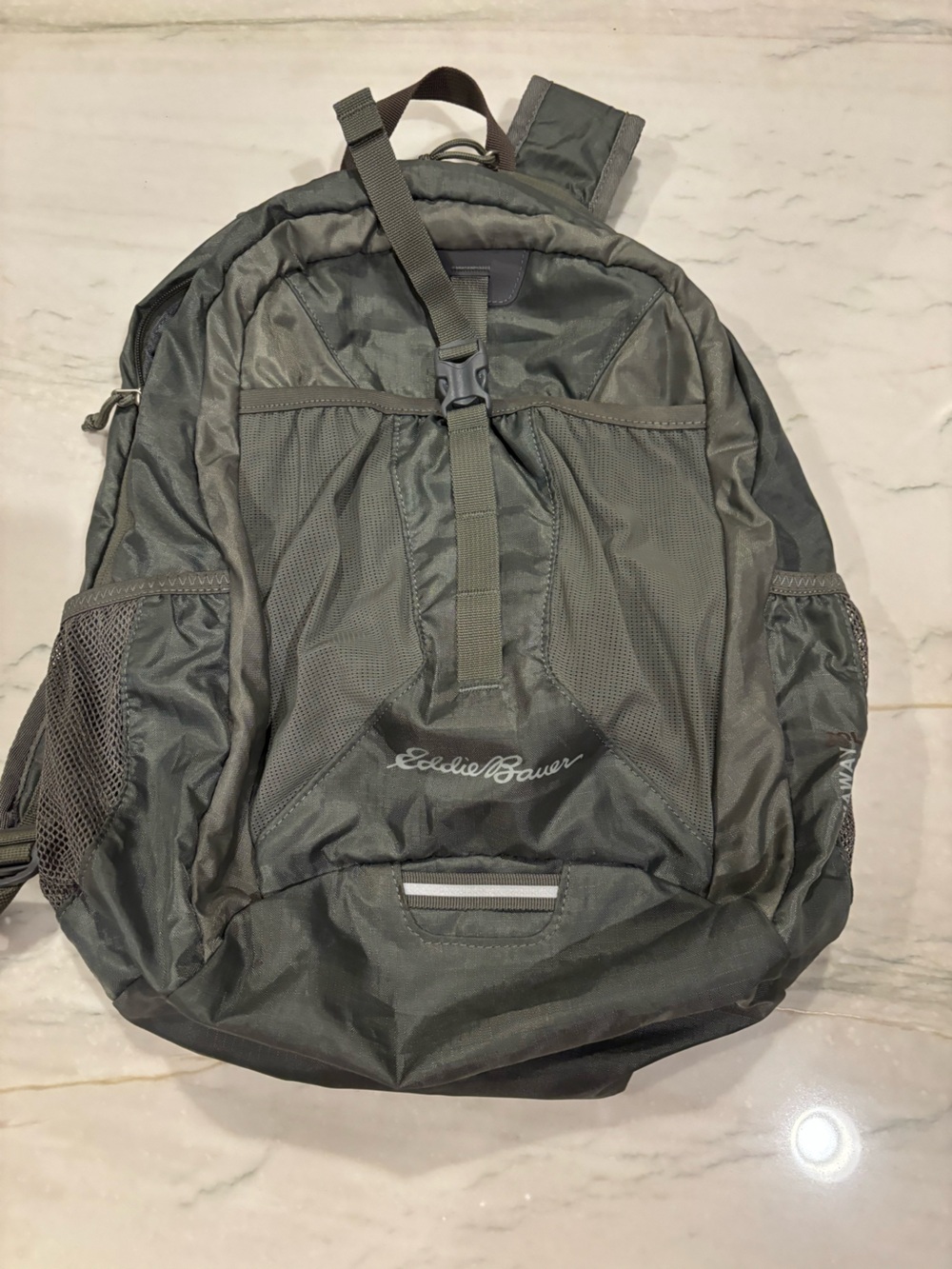 Eddie Bauer Men's Olive Backpack with Mesh Side Pockets